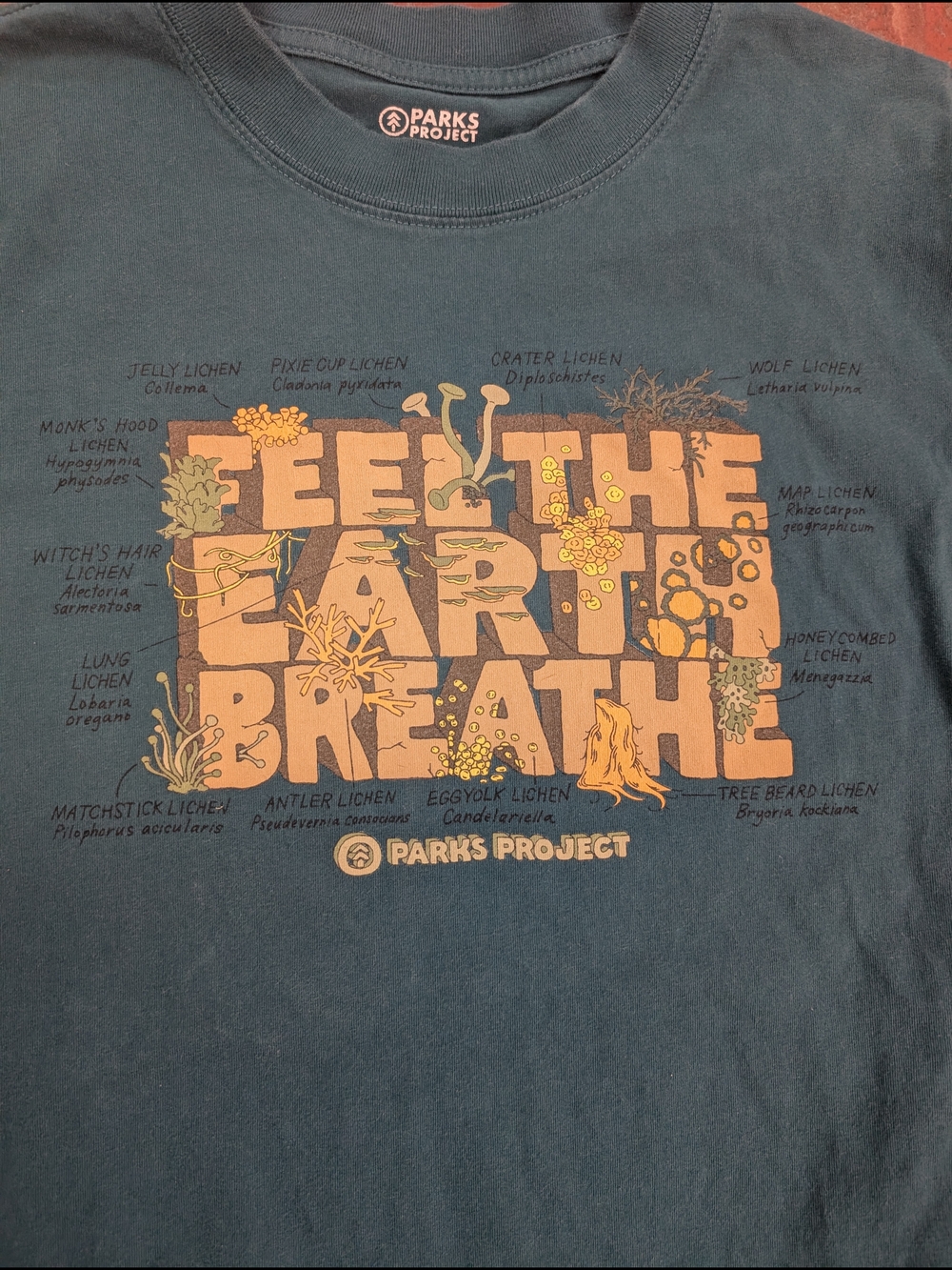 UO Parks Project "Feel the Earth Breathe" Graphic Tee - Picture 3 of 6